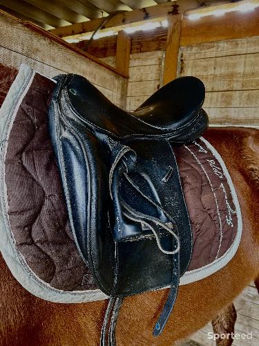 Equitation - Selle dressage Stubben Maestoso de luxe  - photo 4