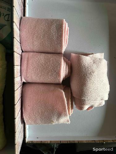 Bandes de polo