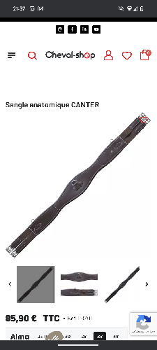 Sangle anatomique