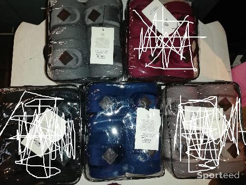 Bandes polo kentucky neuves -50%