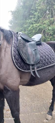 Equitation - Selle equitation  - photo 5