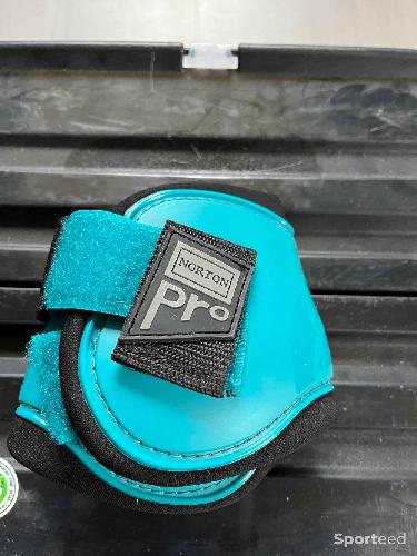 Protège boulet poney