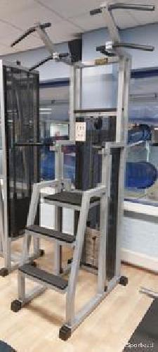 Appareil de Musculation Technogym Easy Chin Dip – Équipement Professionnel