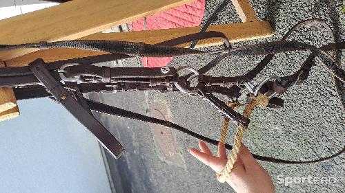 Equitation - Side pull cuir corde norton - photo 4