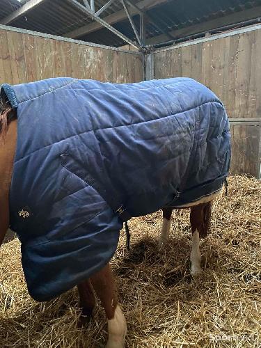 Equitation - Couverture box - photo 3