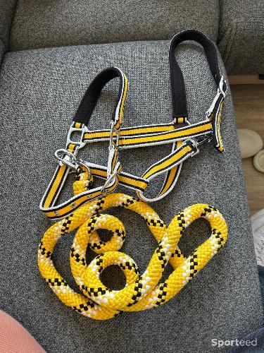 Longe + licol jaune equitheme 