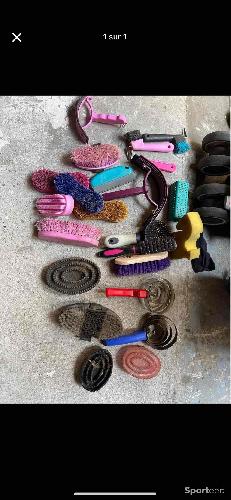 Divers brosse cheval