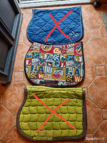 Equitation - Différents tapis 😉👍 - photo 4
