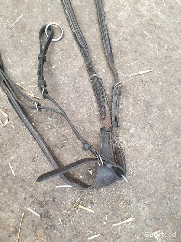 Equitation - Collier de chasse avec Martingale  - photo 3