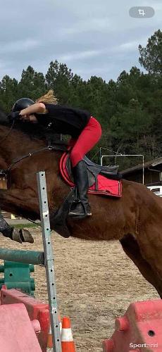 Equitation - Selle mixte Henri de River noire - photo 6