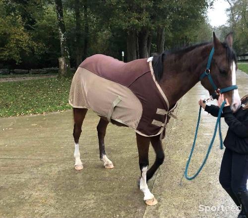 Couverture anti mouche / séchante