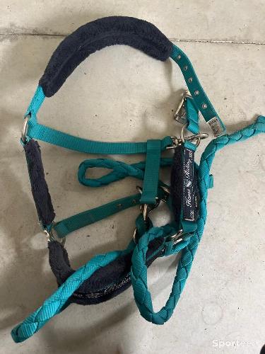 Licol, fouganza Bleu