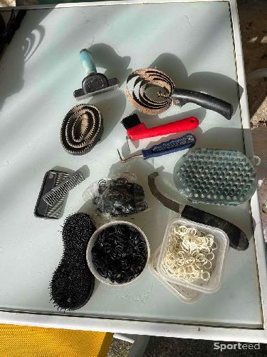 Brosse