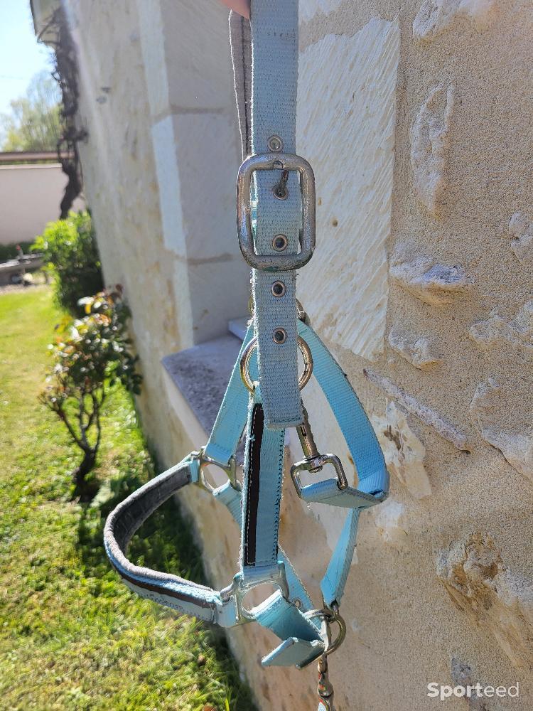 Equitation - Licol bleu ciel  - photo 1