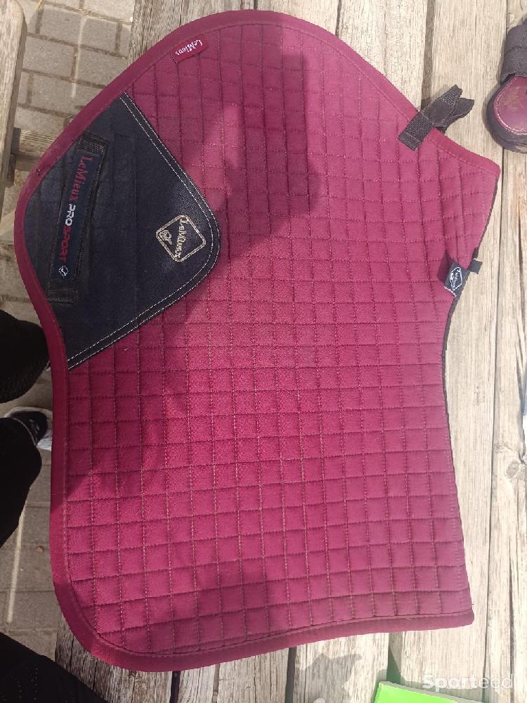 Equitation - Tapis lemieux - photo 1