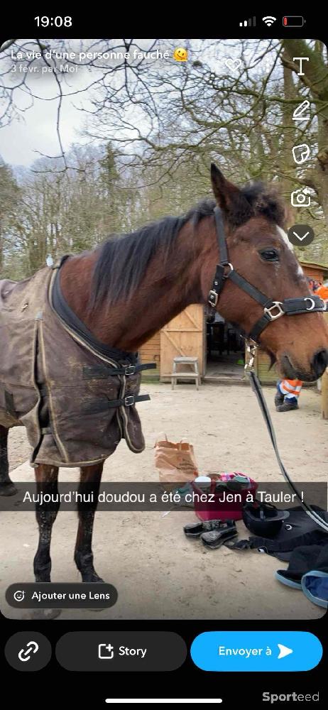 Equitation - Couverture imperméable  - photo 2