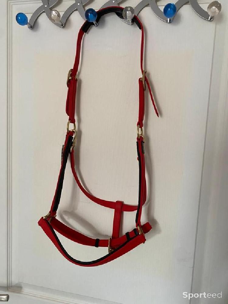Equitation - Licol BIOTACK® Rouge Cheval - photo 1