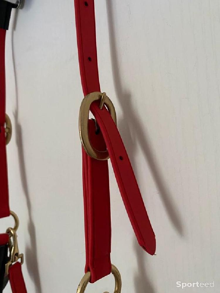 Equitation - Licol BIOTACK® Rouge Cheval - photo 2
