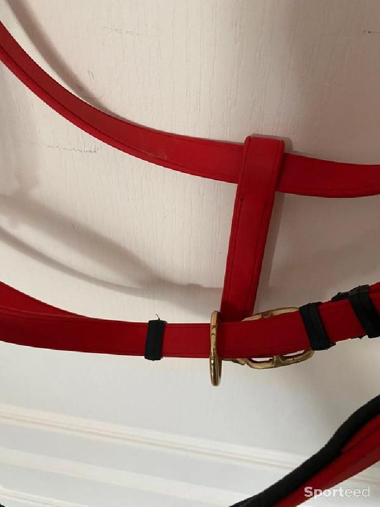Equitation - Licol BIOTACK® Rouge Cheval - photo 4