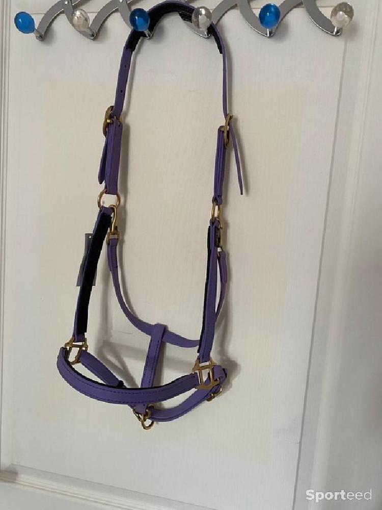 Equitation - Licol BIOTACK® violet Cheval  - photo 1