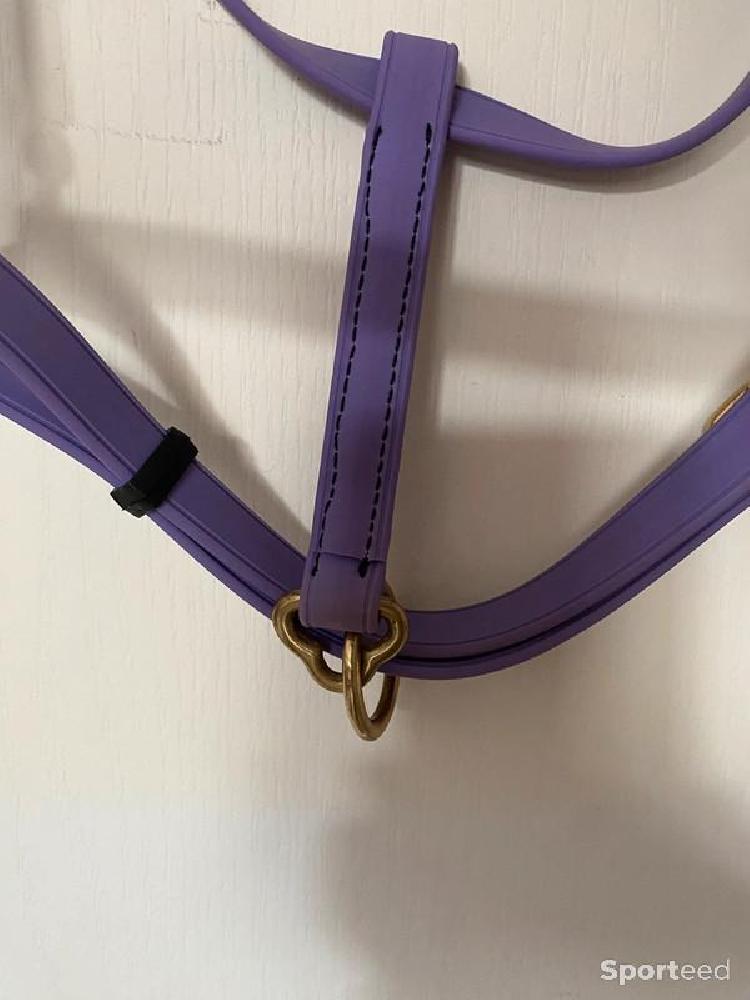 Equitation - Licol BIOTACK® violet Cheval  - photo 3
