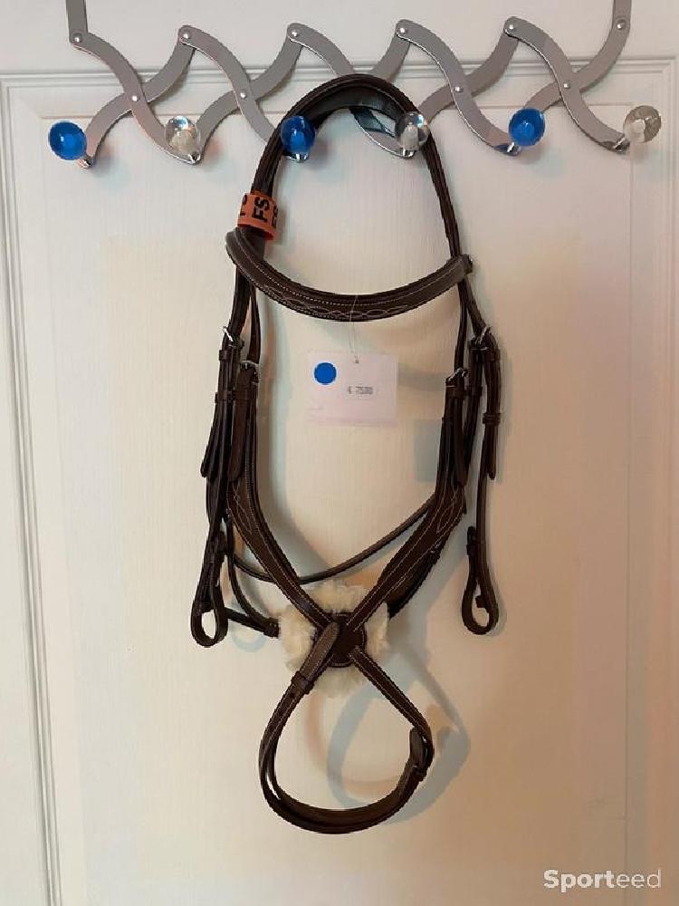 Equitation - Bridon à Muserole Croisée cheval - photo 1