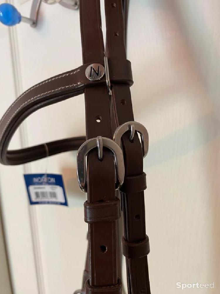 Equitation - Side-Pull « Confort » havane cheval - photo 2