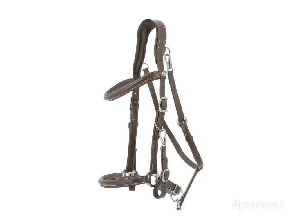Equitation - Bridon Licol « Trekking » cheval - photo 1
