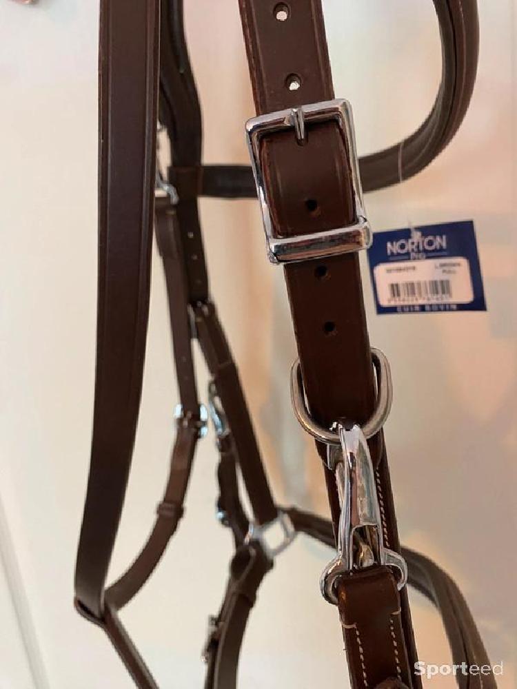 Equitation - Bridon Licol « Trekking » cheval - photo 3