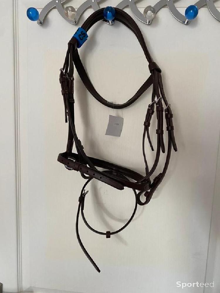 Equitation - Bridon « Fin » Cob/Pur-sang - photo 2