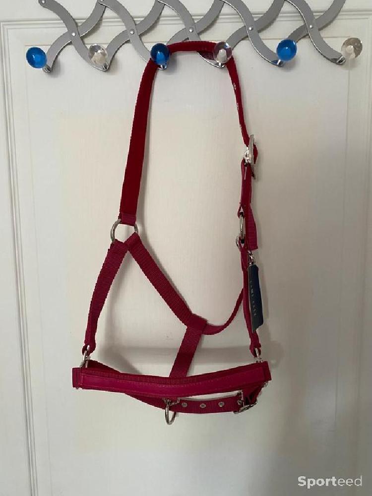 Equitation - Licol « LC » framboise cheval - photo 1