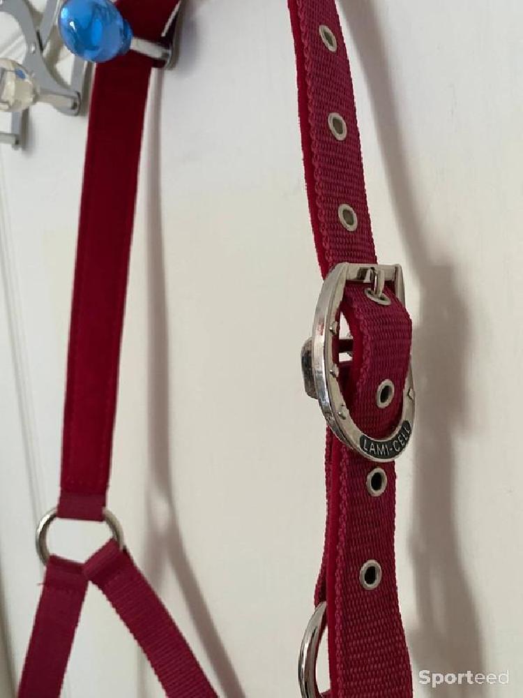 Equitation - Licol « LC » framboise cheval - photo 2