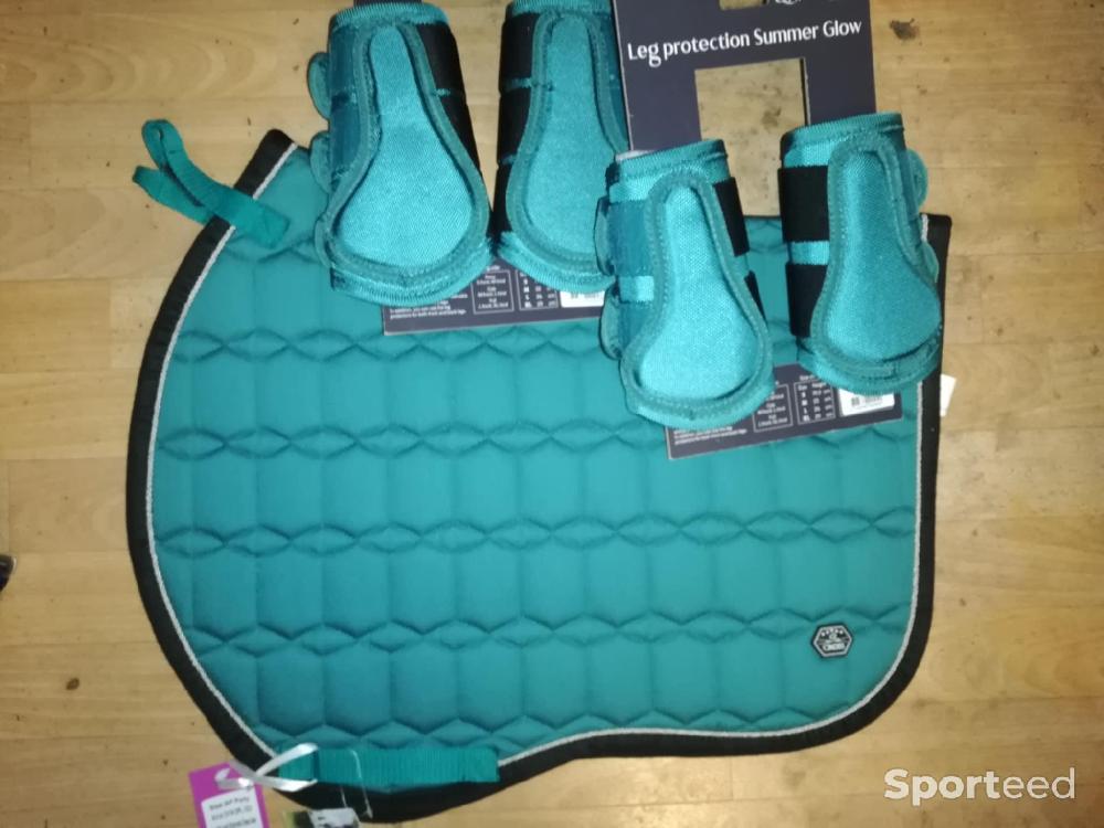 Equitation - ENSEMBLE PONEY Qhp guetresx4 + tapis neufs - photo 1