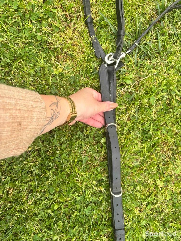 Equitation - Collier de chasse  - photo 2