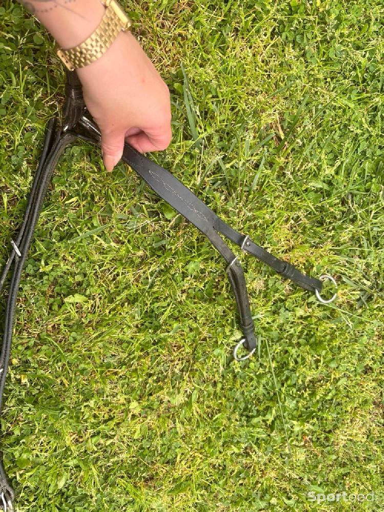 Equitation - Collier de chasse  - photo 4