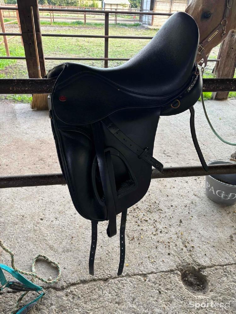 Equitation - Équitation  - photo 1