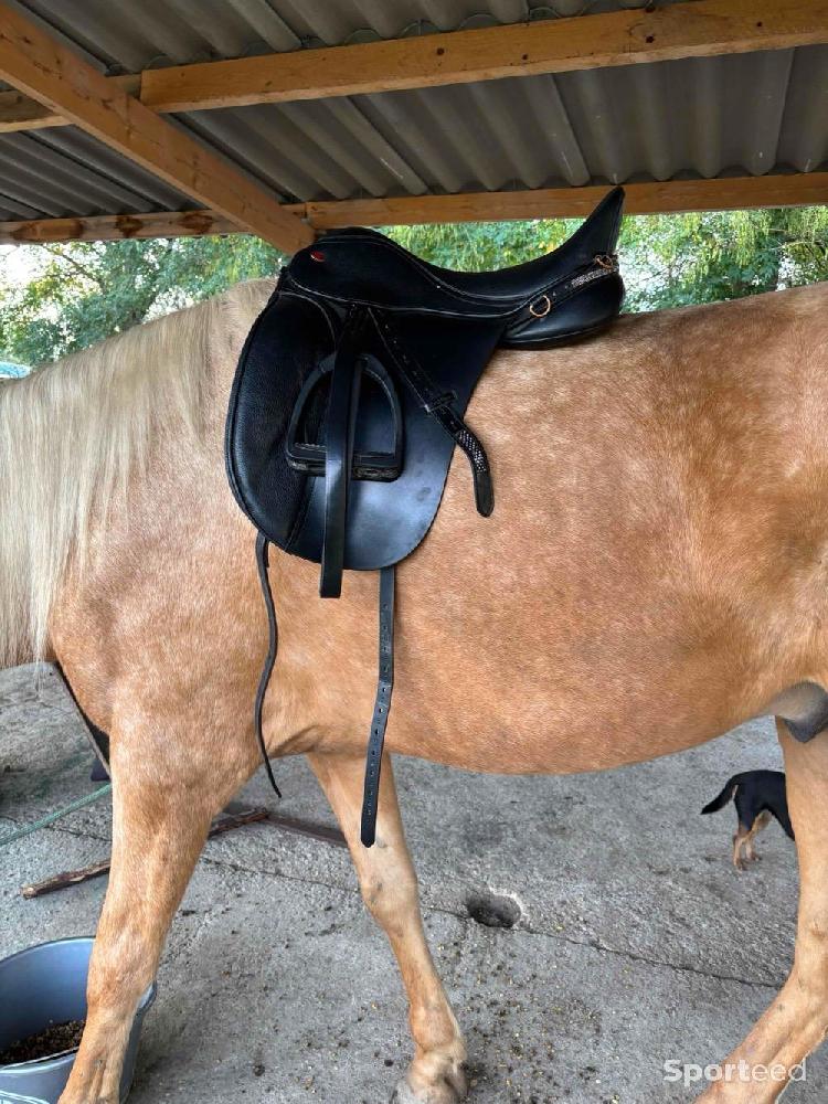 Equitation - Équitation  - photo 3