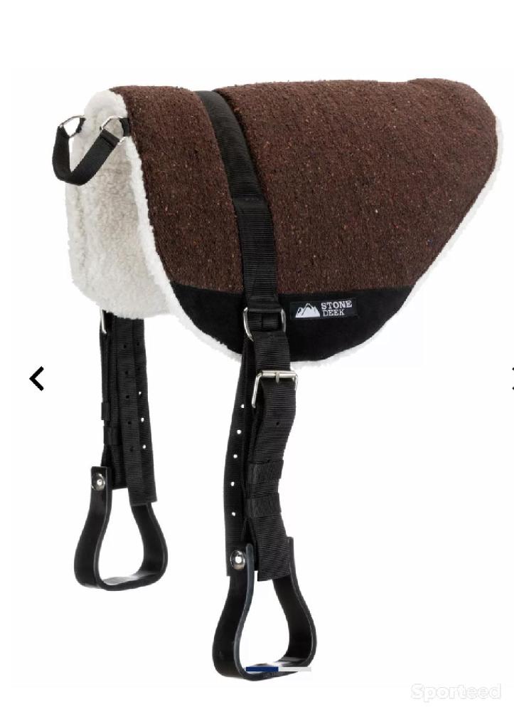 Equitation - Pad de mon a cru  - photo 1