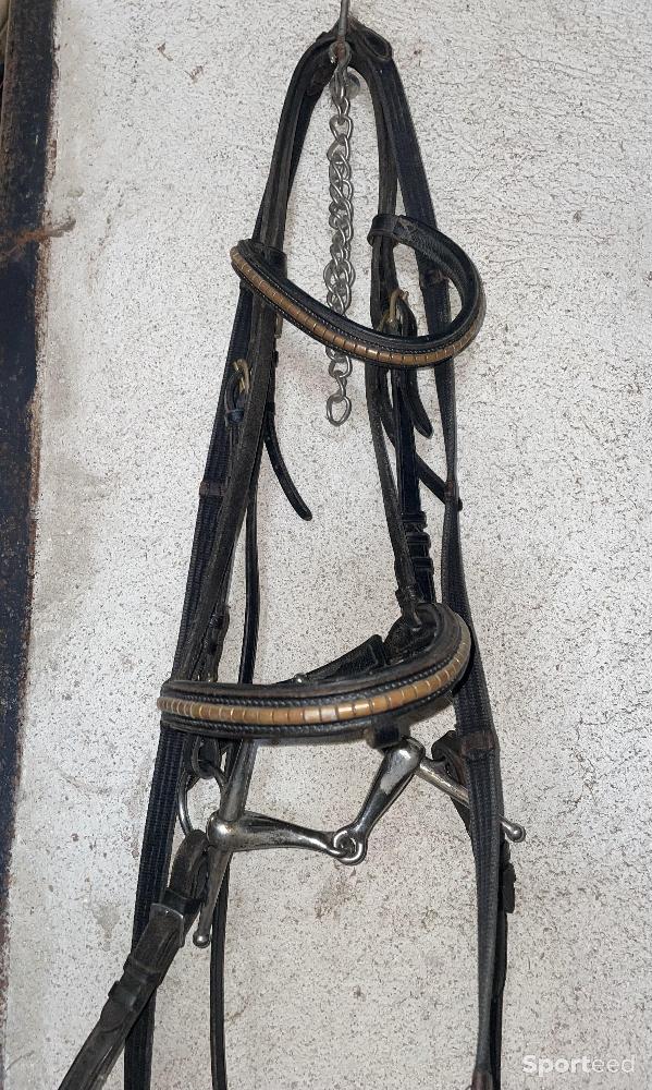 Equitation - Filet - photo 2