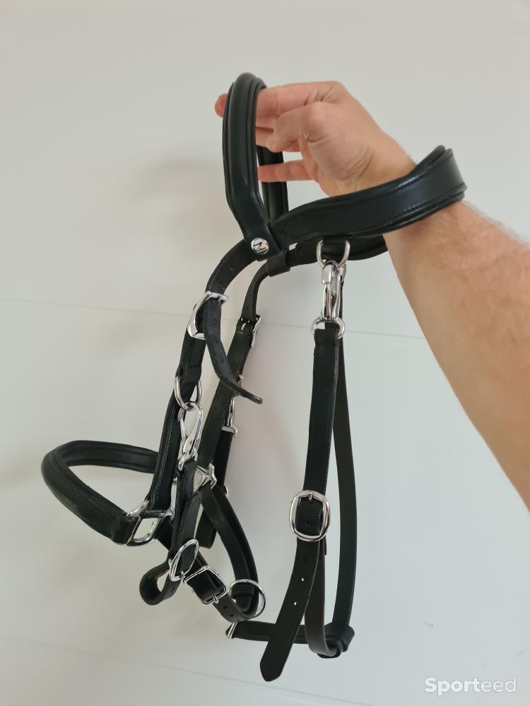 Equitation - Bridon licol norton cuir taille cob - photo 1