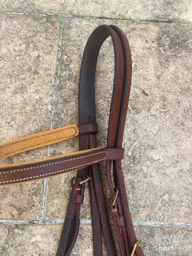 Equitation - Bridon  - photo 1