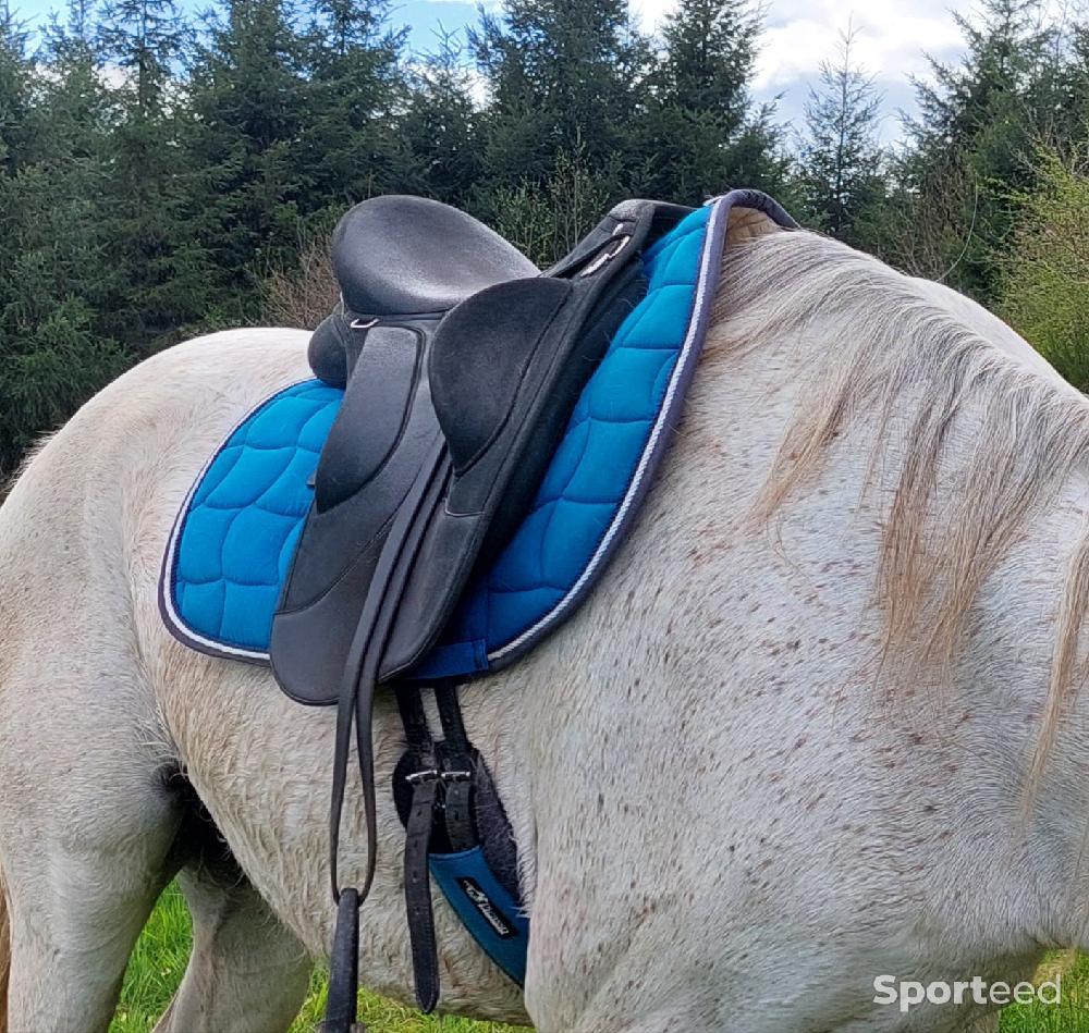 Equitation - Selle wintec endurance - photo 2