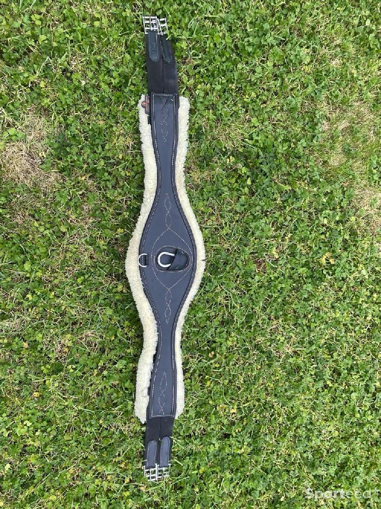 Equitation - KENTUCKY - sangle anatomique mouton - taille 125 cm - photo 2