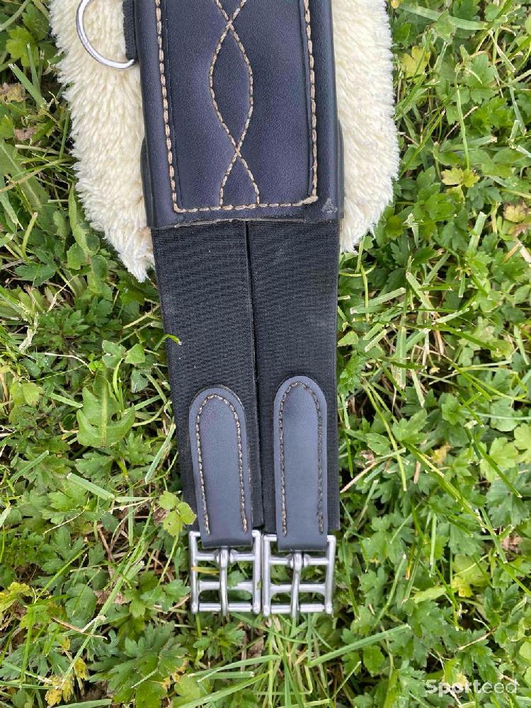 Equitation - KENTUCKY - sangle anatomique mouton - taille 125 cm - photo 3