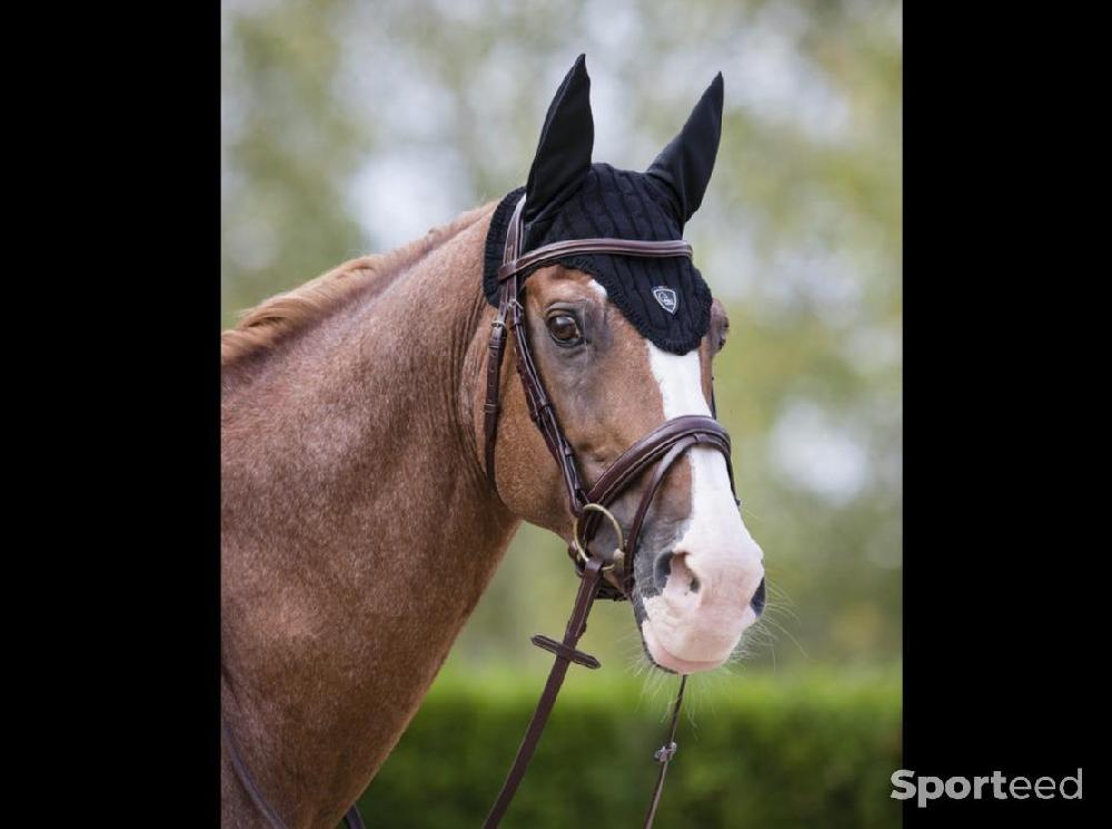 Equitation - Bridon « Londres » Cob/Pur-sang - photo 1