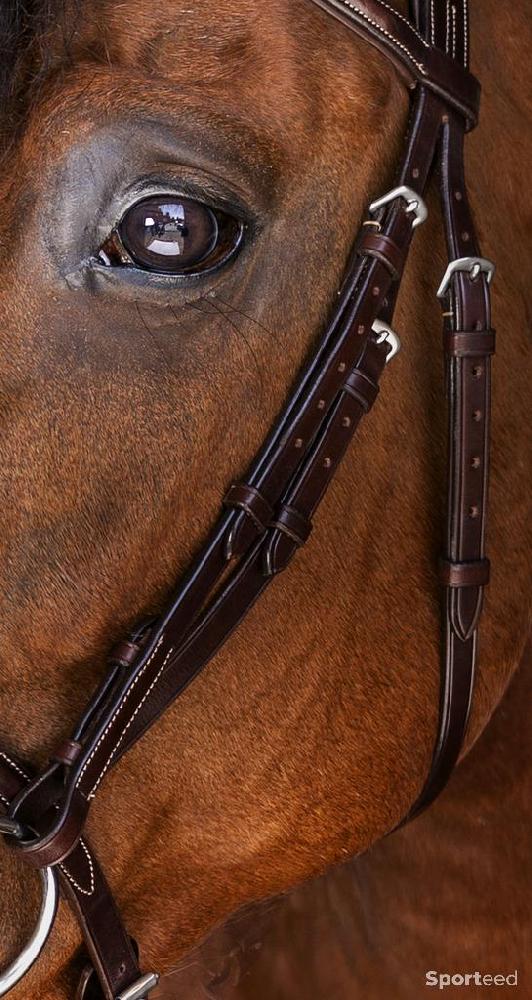 Equitation - Bridon « Londres » Cob/Pur-sang - photo 2
