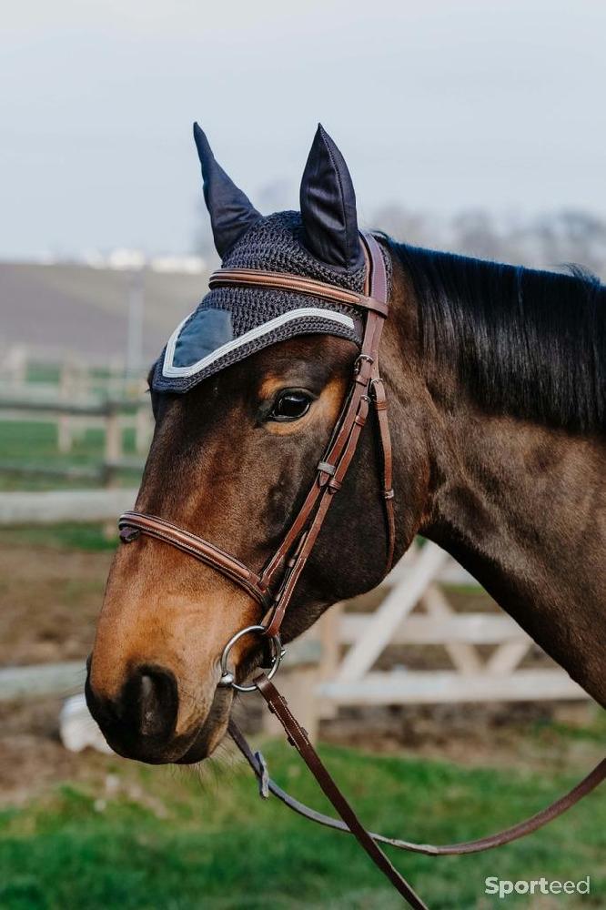 Equitation - Bonnet Chasse-mouches « Badge » - photo 1