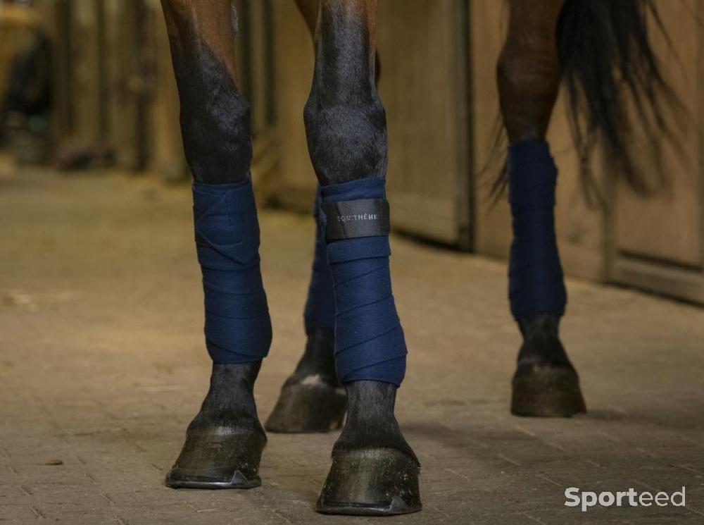 Equitation - Bandes de Polo marine - photo 1