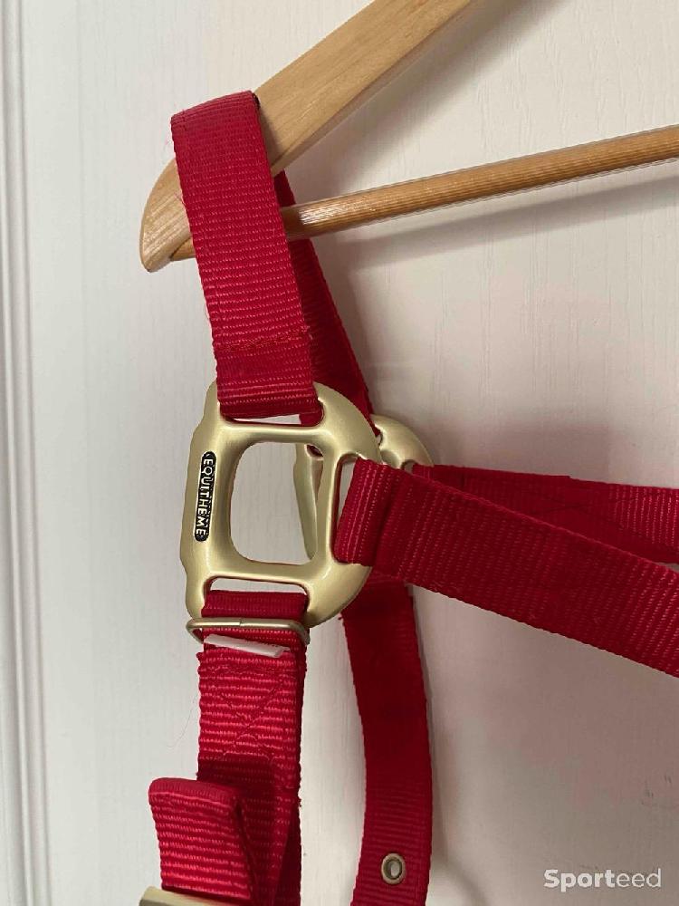 Equitation - Licol « Nylon » Cob/Pur-sang rouge - photo 2