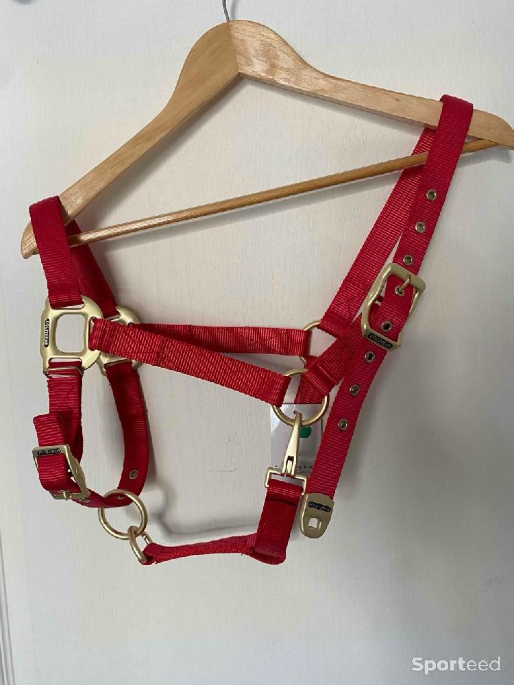 Equitation - Licol « Nylon » Cob/Pur-sang rouge - photo 1